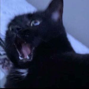 Meet your Posher, Kaylee